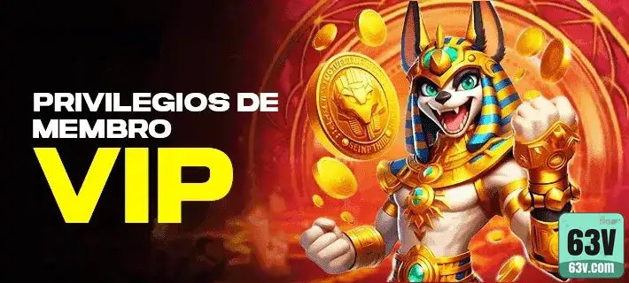 63v.com participe de exclusivo jogo